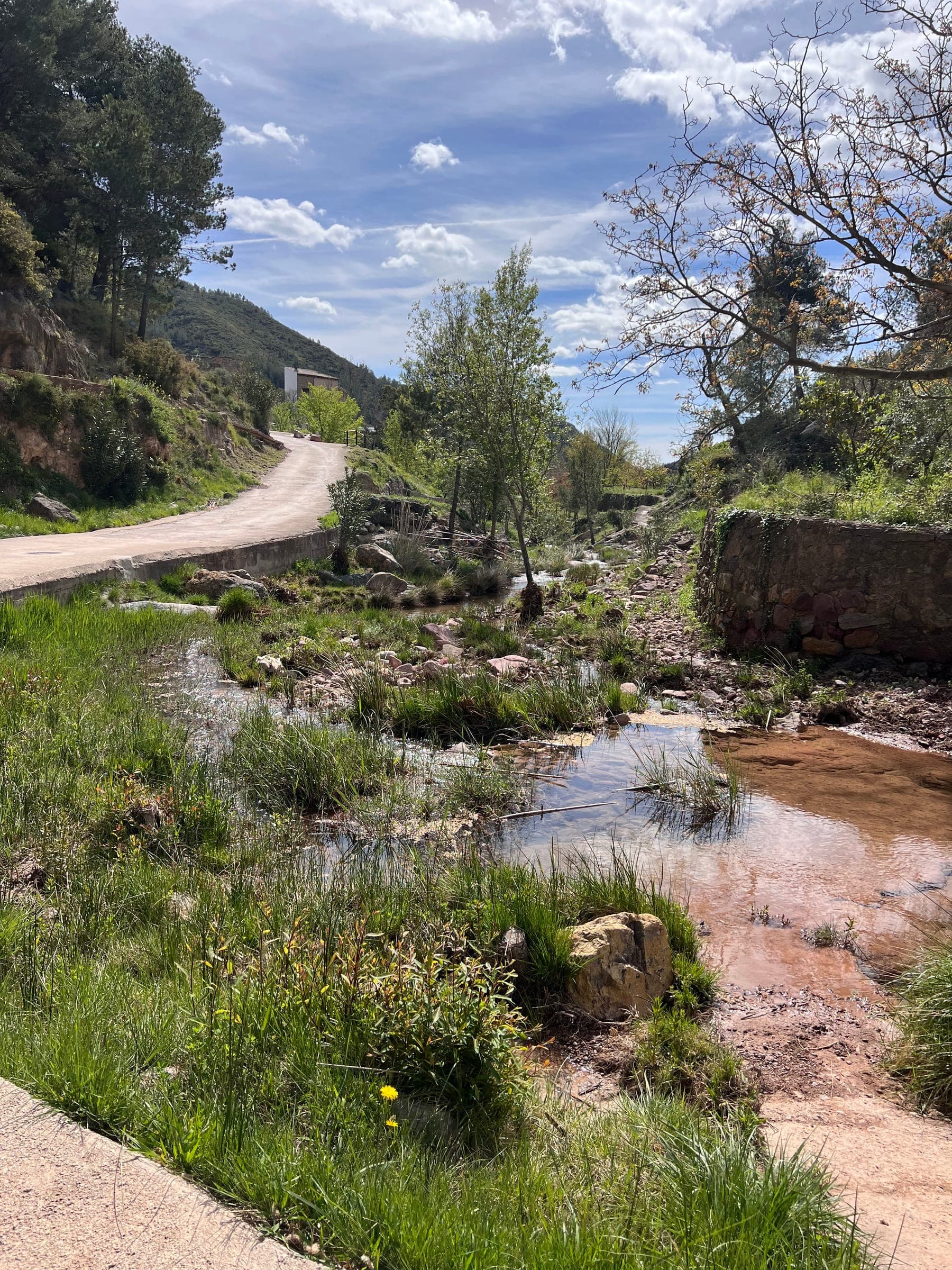 El Río Chico a su paso por Fuentes de Ayódar, con el valle al fondo